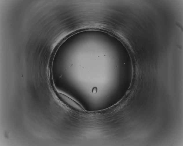 X0000102040936200807181509