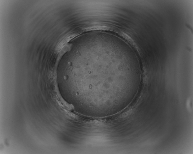X0000102040937200807181509