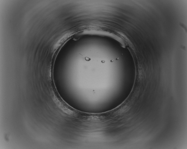 X0000102040938200807181509