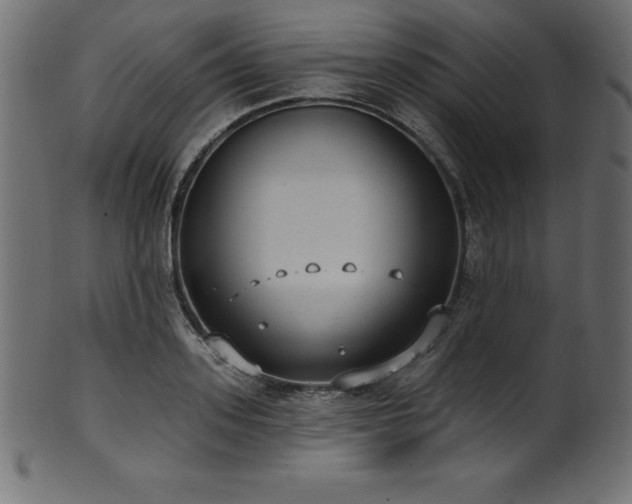 X0000102040939200807181509
