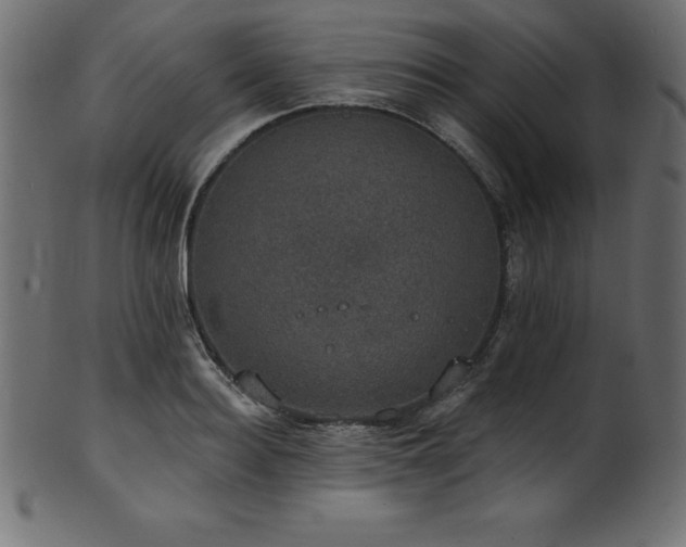 X0000102040940200807181509