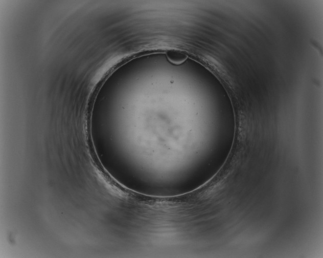 X0000102040942200807181509