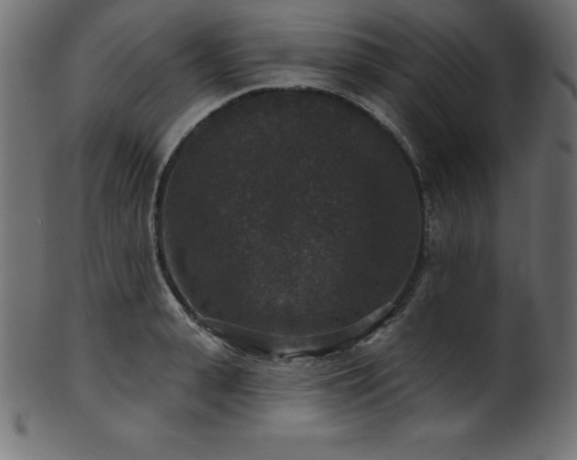 X0000102040943200807181509