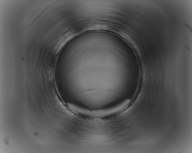 X0000102040945200807181509