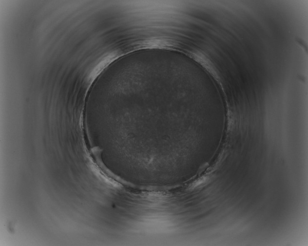 X0000102040946200807181509