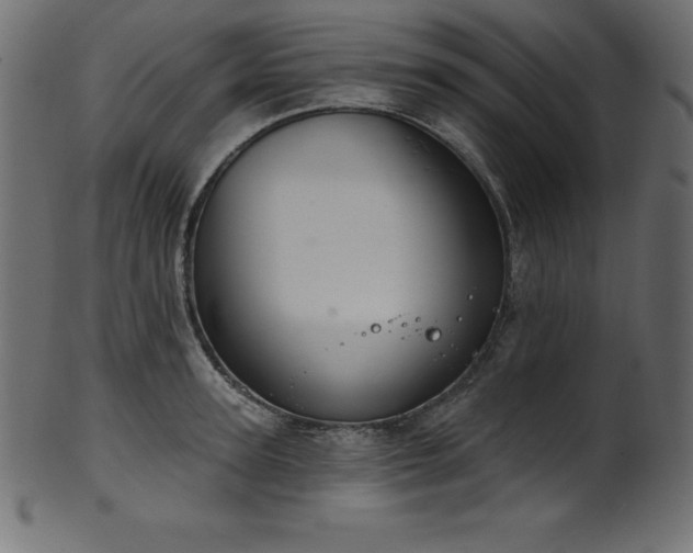 X0000102040947200807181509