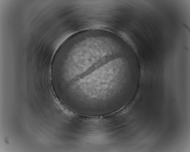 X0000102040948200807181509