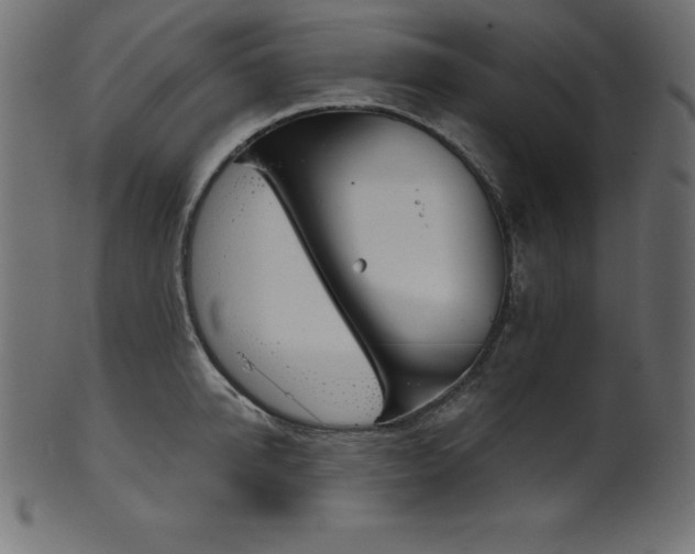 X0000102040950200807181509