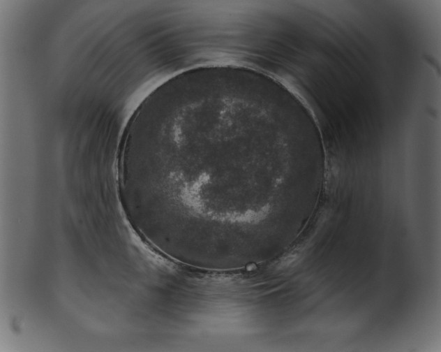 X0000102040951200807181509