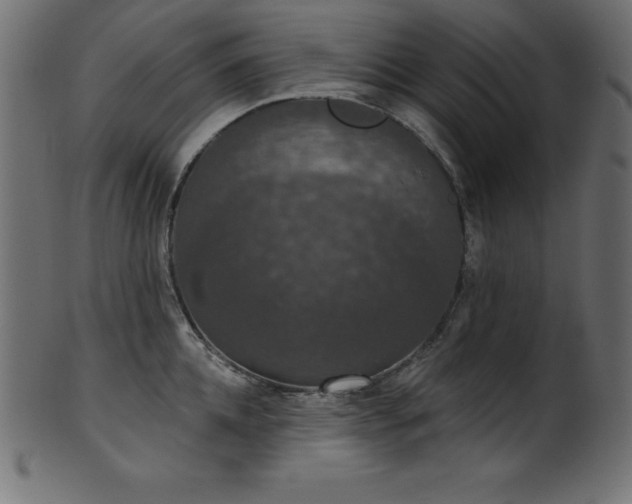X0000102040952200807181509