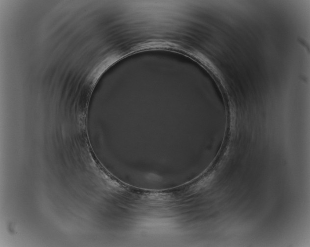 X0000102040953200807181509