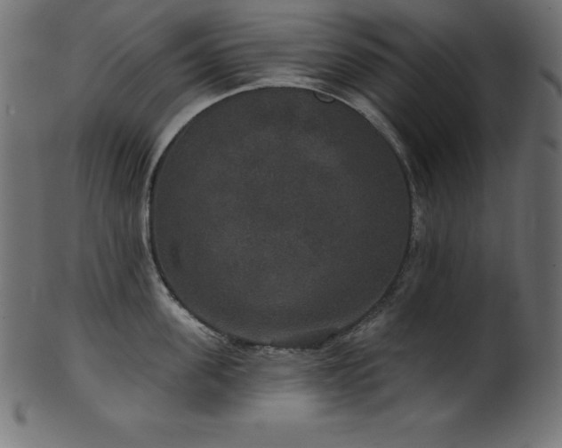 X0000102040955200807181509
