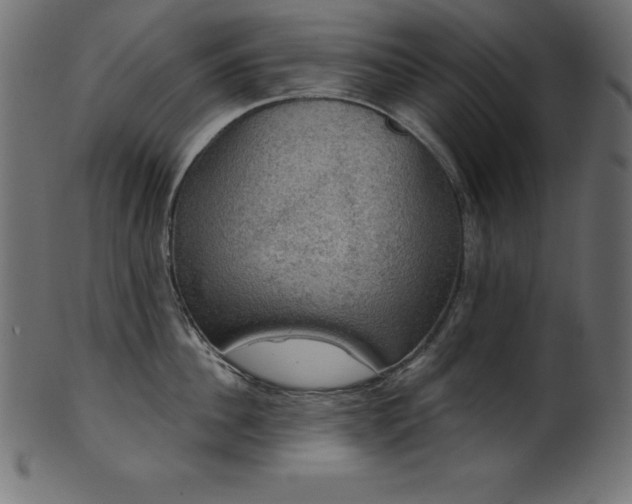 X0000102040956200807181509
