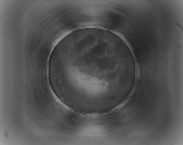 X0000102040957200807181509