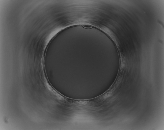 X0000102040958200807181509
