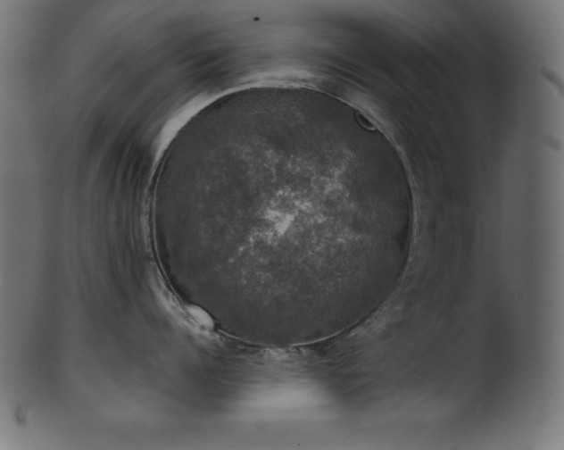 X0000102040960200807181509