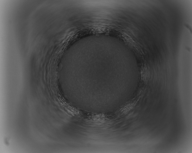 X0000102040961200807181509