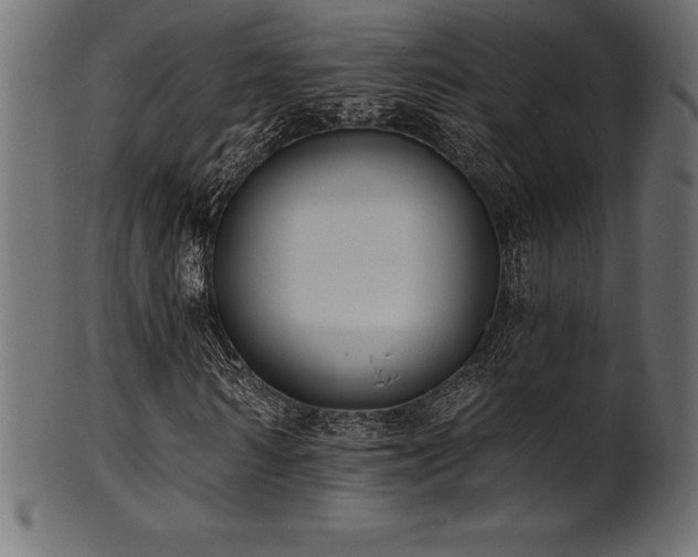 X0000102040962200807181509