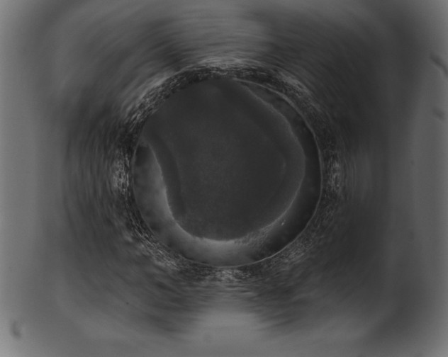 X0000102040966200807181509