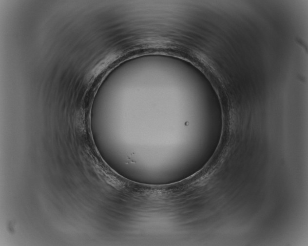 X0000102040970200807181509