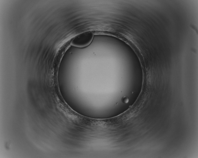 X0000102040971200807181509