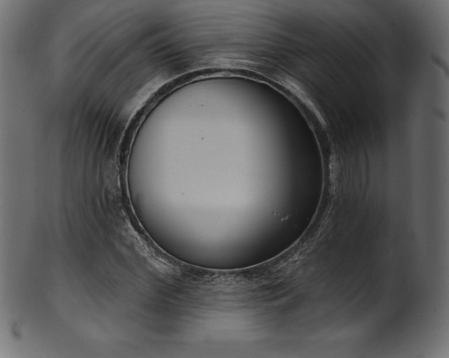 X0000102040972200807181509