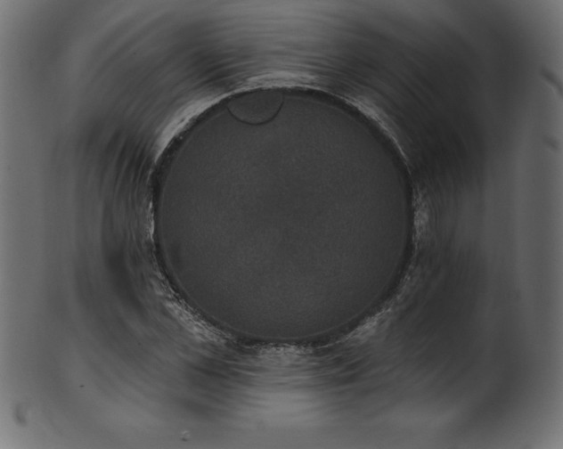 X0000102040973200807181509