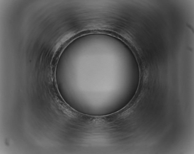 X0000102040974200807181509