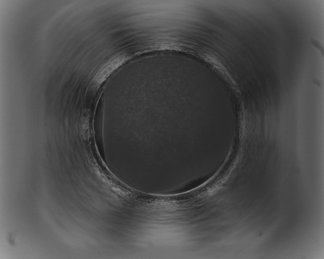 X0000102040977200807181509