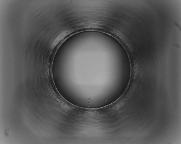 X0000102040978200807181509