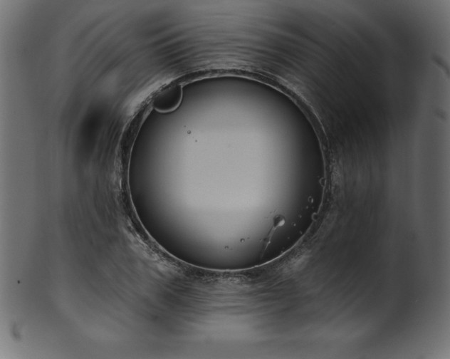 X0000102040979200807181509