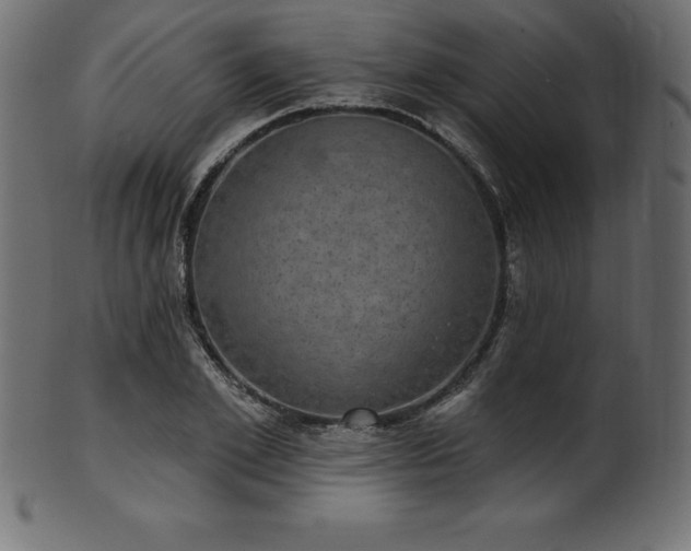 X0000102040981200807181509