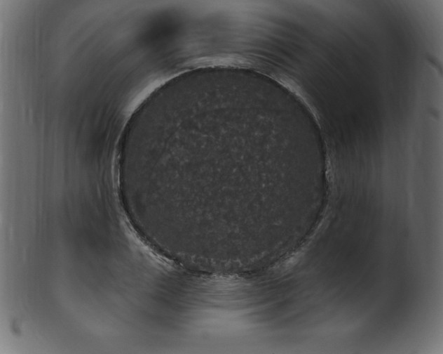 X0000102040983200807181508