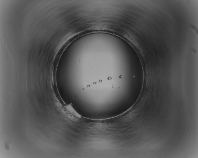 X0000102040984200807181508