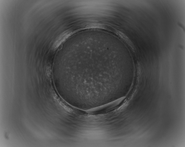 X0000102040985200807181508