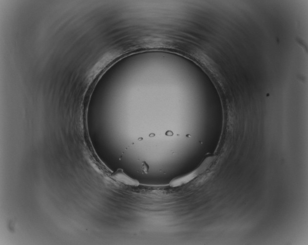 X0000102040986200807181508