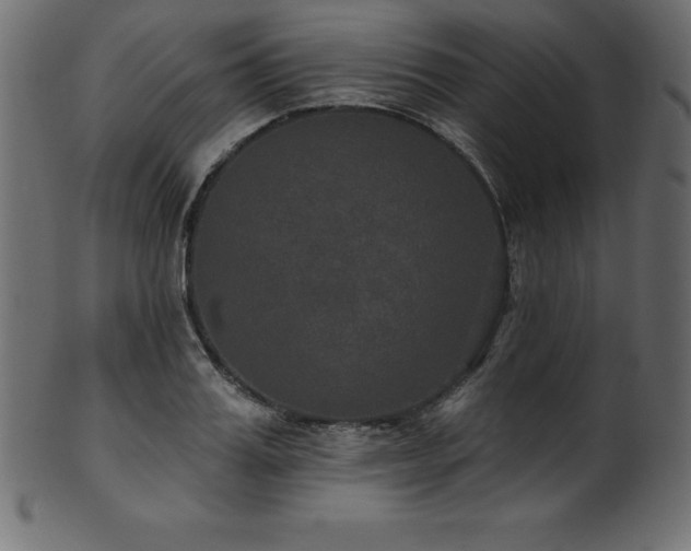 X0000102040987200807181508