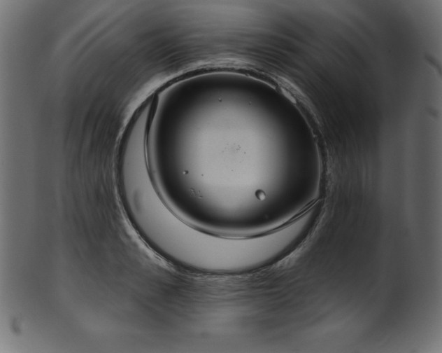 X0000102040989200807181508