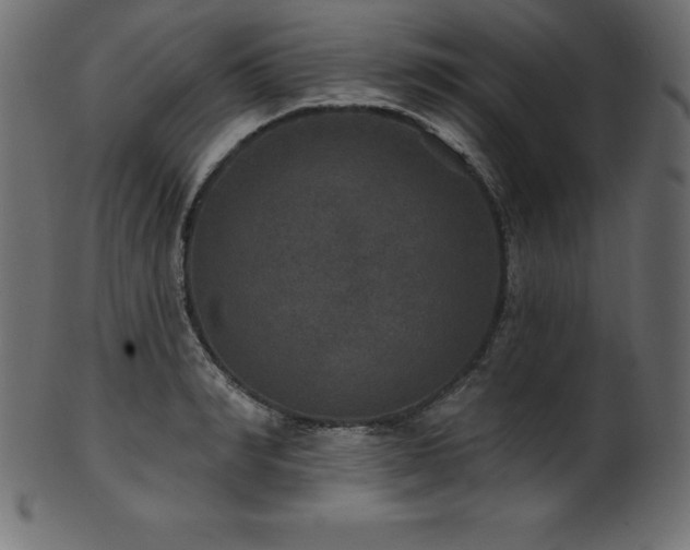 X0000102040990200807181508