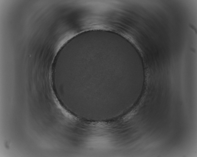 X0000102040991200807181508