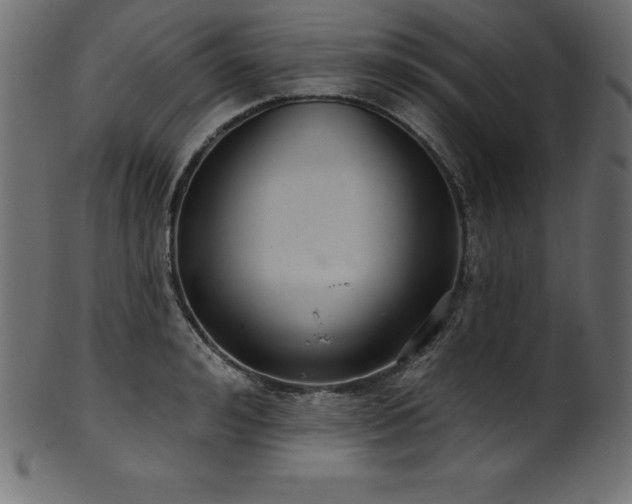 X0000102040992200807181508