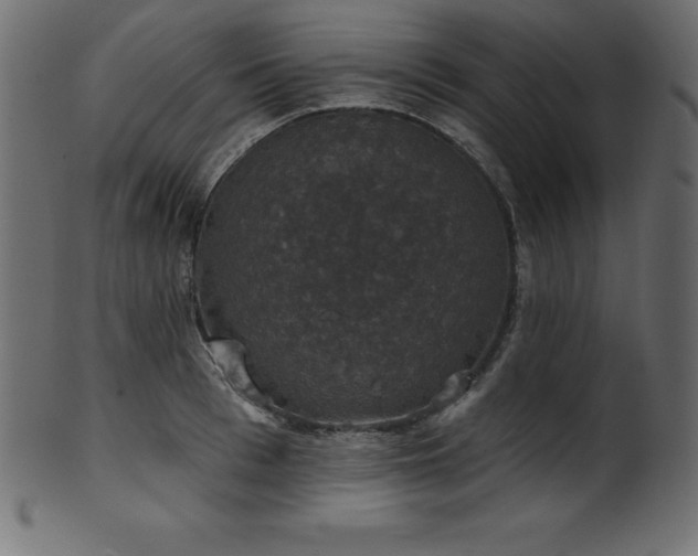 X0000102040993200807181508