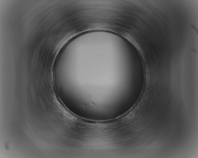 X0000102040996200807181508