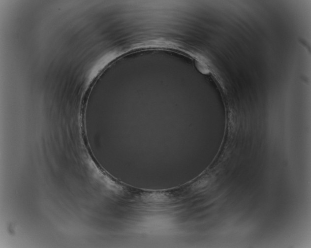 X0000102040998200807181508