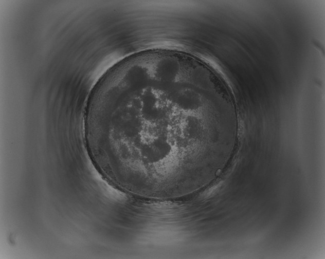 X0000102040999200807181508