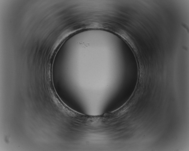 X0000102041000200807181508