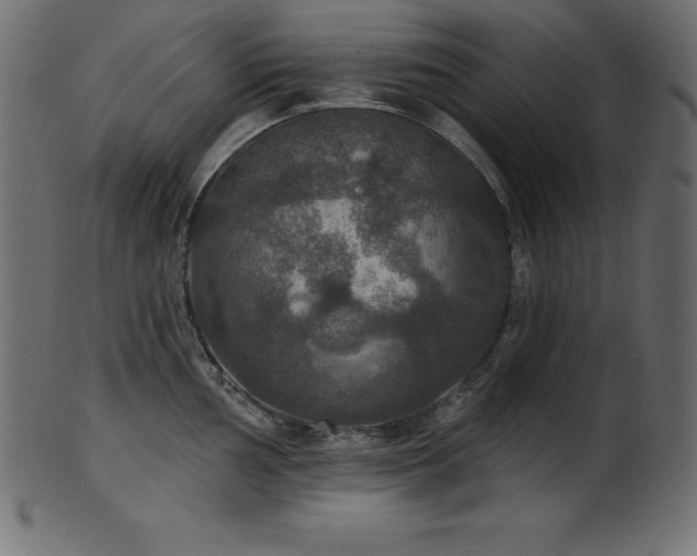 X0000102041002200807181508
