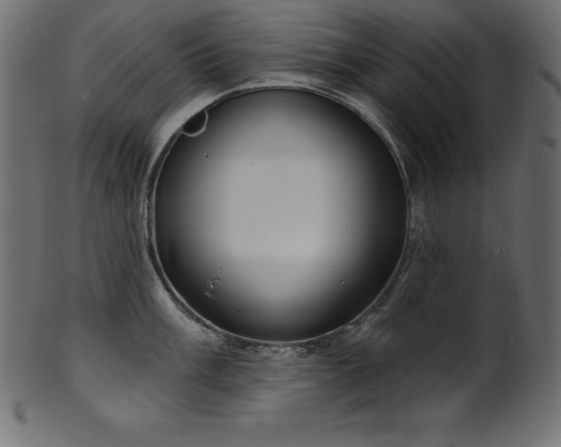 X0000102041003200807181508
