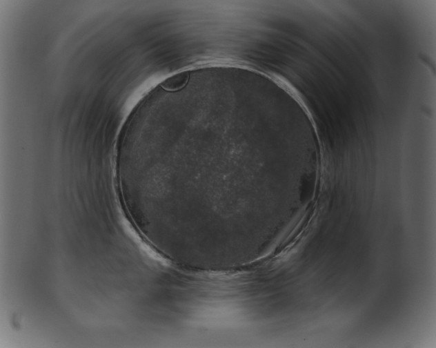 X0000102041005200807181508