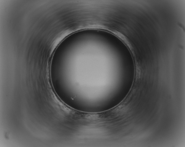 X0000102041006200807181508